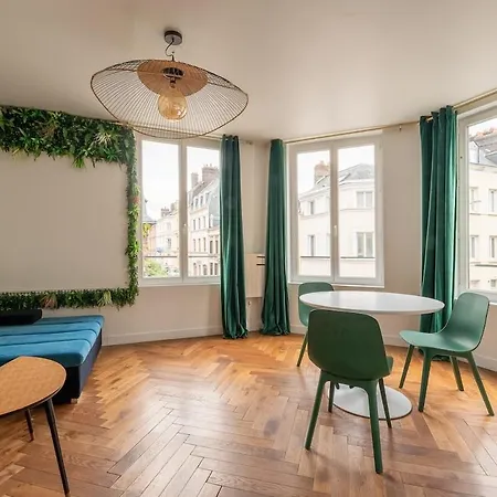 Apartment Jungle Chic Centre Wi-fi Cuisine Equipee *